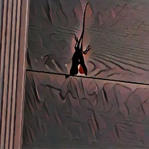 Item #6822172971026890418880562505450227759252596580722353794181564528387608805377 Media