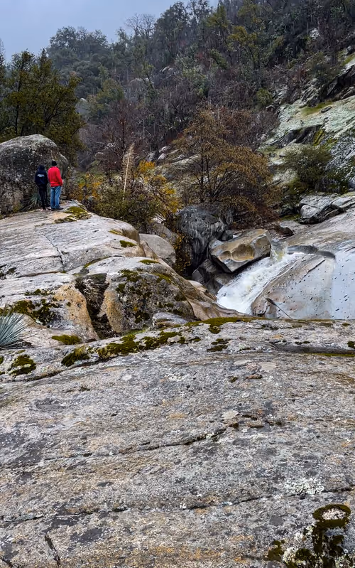 Item #267390045457276856410753417485839738725657370891537543882758028988870819841 Media