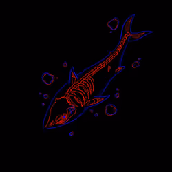 #07 Shark (Common)