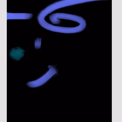 Specchio #13