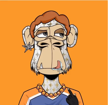 Untitled Collection #3562882488