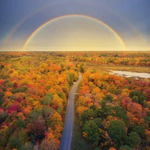 Fall Diaries CIhymdgfcp