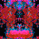 black skull