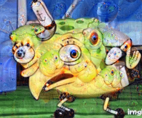 spong