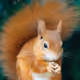 23908415778218383240220713436218297405467324404462582293875795238618277085185