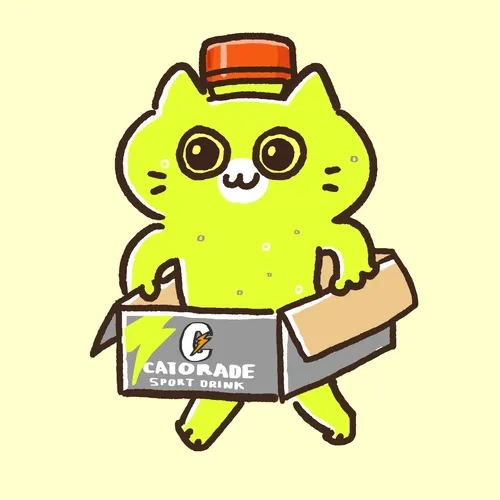 Running Box Cat