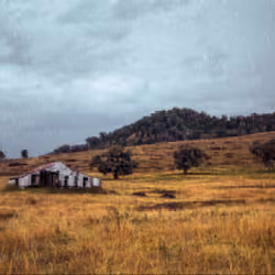 Abandoned