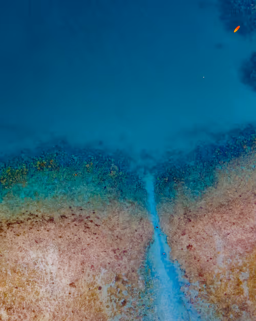 Item #76182420435474433030175106925333141340122143524658153810664851667073475018753 Media