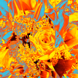 10162537437224382031479019658551907585229278444242708151782220051621976473601