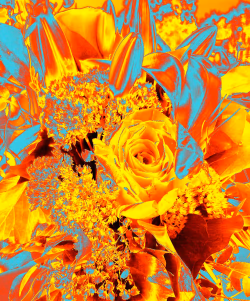 Item #10162537437224382031479019658551907585229278444242708151782220051621976473601 Media