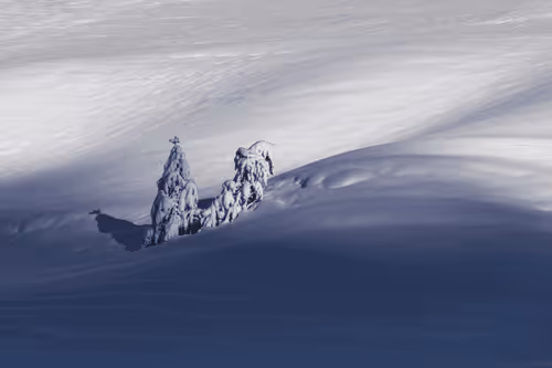 Item #82038507178112004707132471695972498506825775528903589266831690709556181073921 Media