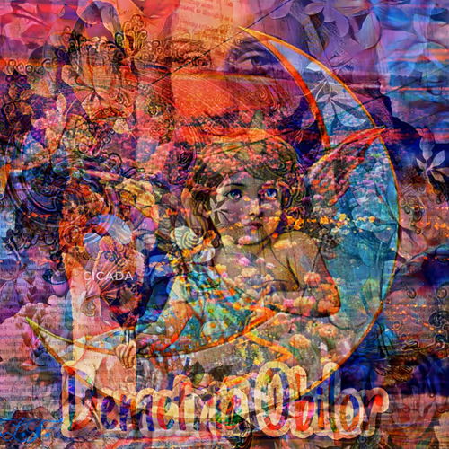 Item #100755615500172157606785461322493644211687547599181603731192163225300373602305 Media