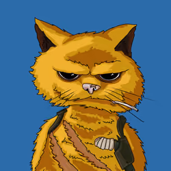Cato