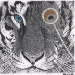 Crying Tiger 