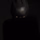 79430558819423844382938969476849459298010181222667096174822039210804543225857