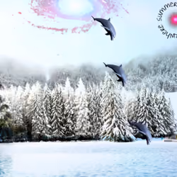 Where Summer meets Winter