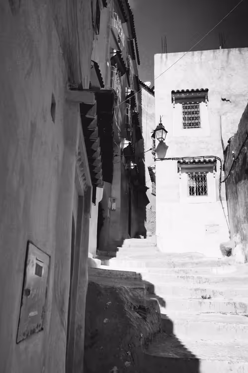 Item #44882446658105913853796509950000769097268566916228504631757224071045255790593 Media