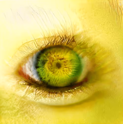 Item #73500473601639277492783536232978387069951164458626547516930003831146684612609 Media