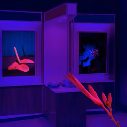 My museum