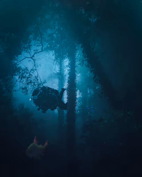 Item #5120042332681476466632520770121700592134821440612237730621647046432882950145 Media