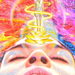 The Psychonaut