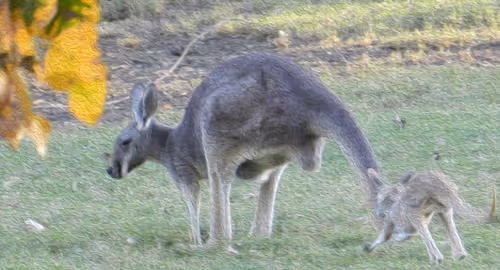 Item #95619151568614802974454947629602672965769746893472874508208249431881680945153 Media