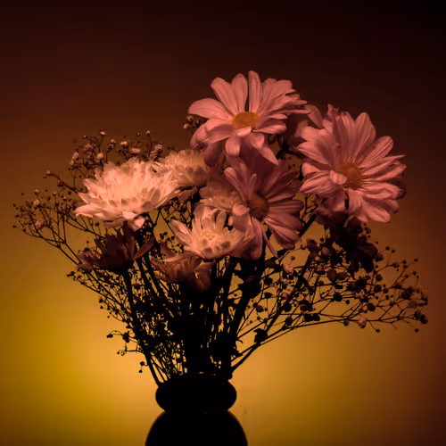 Item #78290859564487950582035157187154512379100989933844946097788898106387736821761 Media