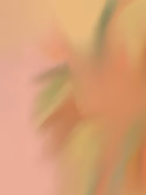 Item #54905278148183713110032817337166627126228631478155671374545753174752614154241 Media
