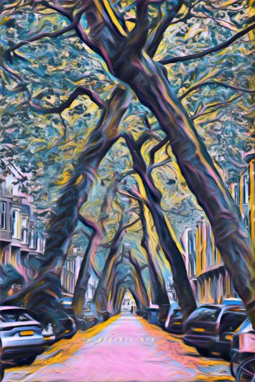 Item #96399913879993189849228855800090675211667703683088788702048104277365193965569 Media