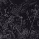 4492580893130513996810339313147276127869590106826753677018996500319810093057
