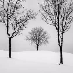Sound of Silence #35