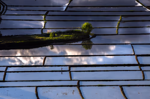 Item #21360135595636761708002264298030741123237362591555506440031731751579063156737 Media