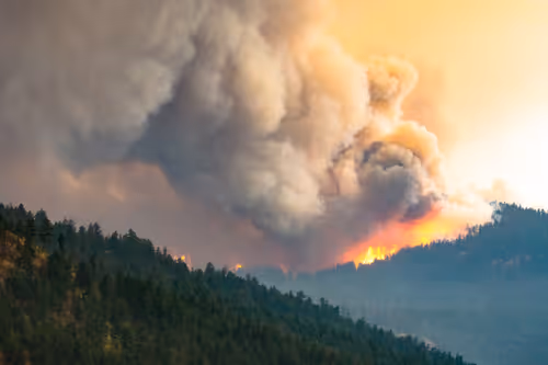 Item #55396979496544417469792883121952566872796951856674190010796140011555211182081 Media