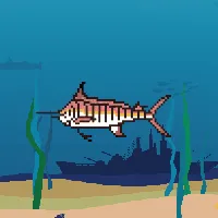 78964944229926021655968168462037545876501657311134209832205588958487785766913