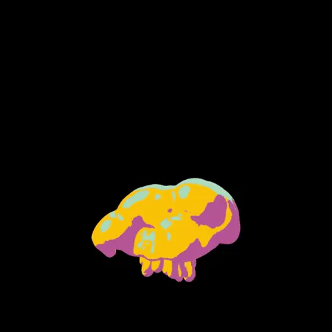 Item #115748401669632444633715156062150122079762544424876862042300279117732540055602 Media