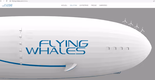 flying-whales.eth Ethereum Name Service (ENS and .eth domain) PFP