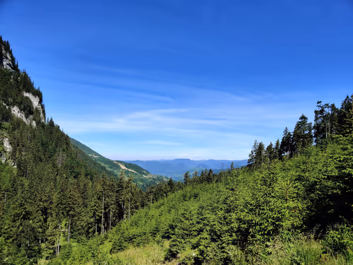 Item #89280554323355594991187074472248038858407737150671798798762341988352894435329 Media