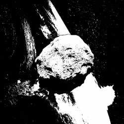 ARTSTEROIDZ 015