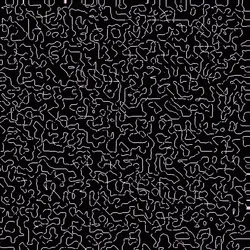 Morph 01