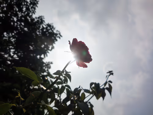 Item #74464285102539120175525880978246253166996374944805974491567127448027100348417 Media