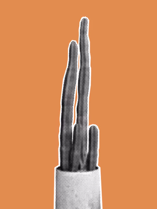 Item #25379124807980713745219244606437574046087384809022650852355167124715051417601 Media