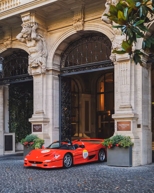 Item #31306949431079082875472894456006319516026694367471683219785722326625428701185 Media