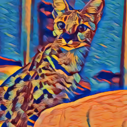 Savannah 2