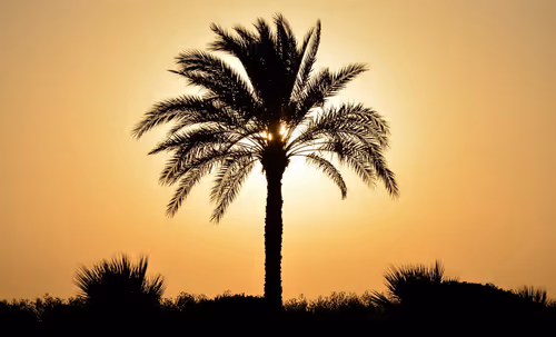 Item #82659361833004328141584002700570172314064346782117350339794085693708790923269 Media