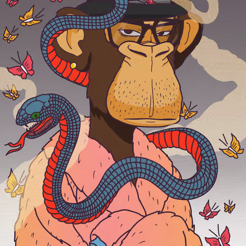 TakeshiGitano Collection - old