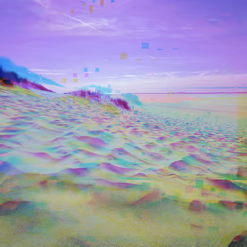Glitchy Trips