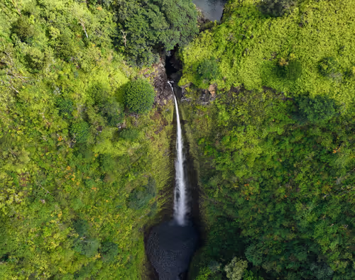 Item #38069088421557280780080489884356511775313840977413642295707171740172414877697 Media