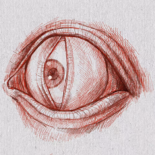 Item #27921743008571817687184646178926159877577224498393299984677392975673134415873 Media