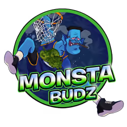 MB2