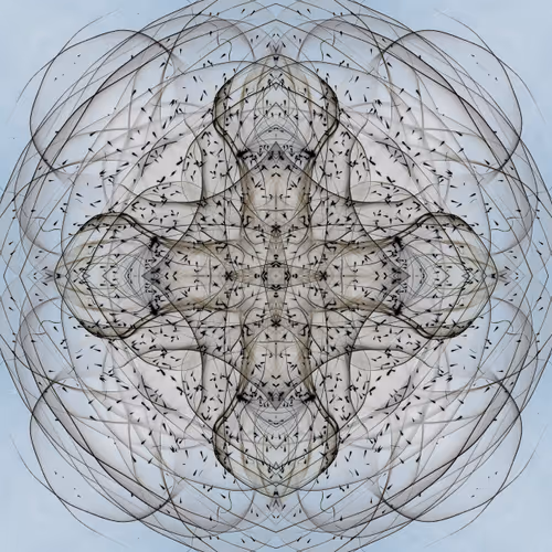 Item #16083351390279640209374544591404445529432222111801619610088535170646273949697 Media